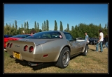Corvette C3 82 Collector Edition - 2